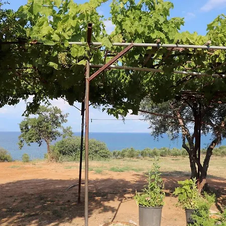 Hébergement de vacances Seaside 1 *